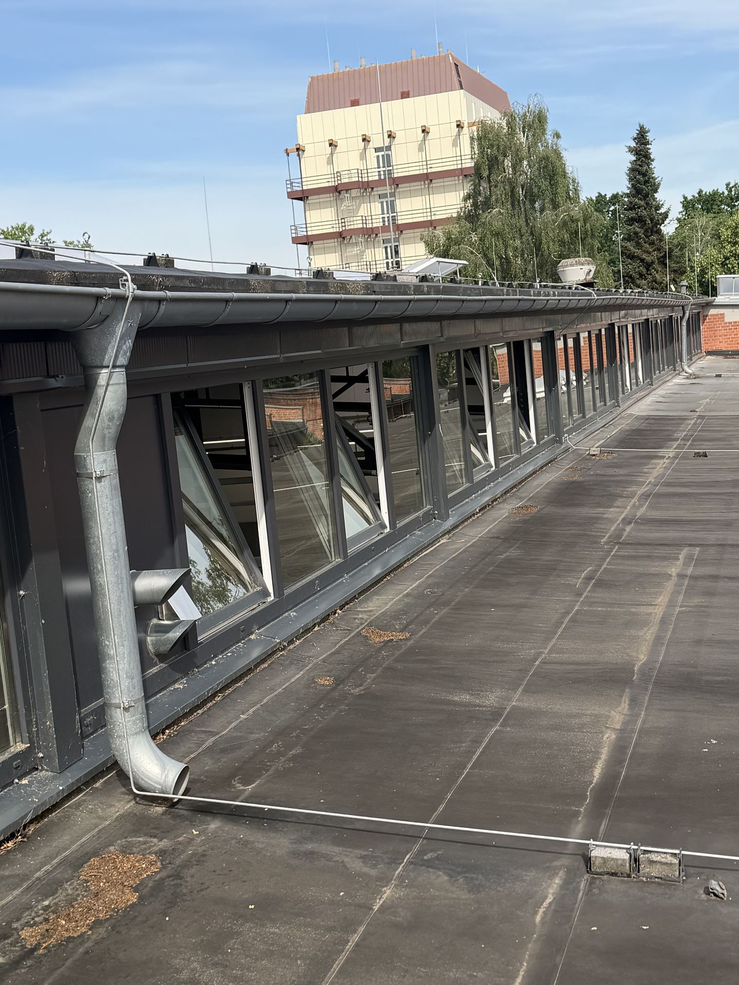 Glasreinigung