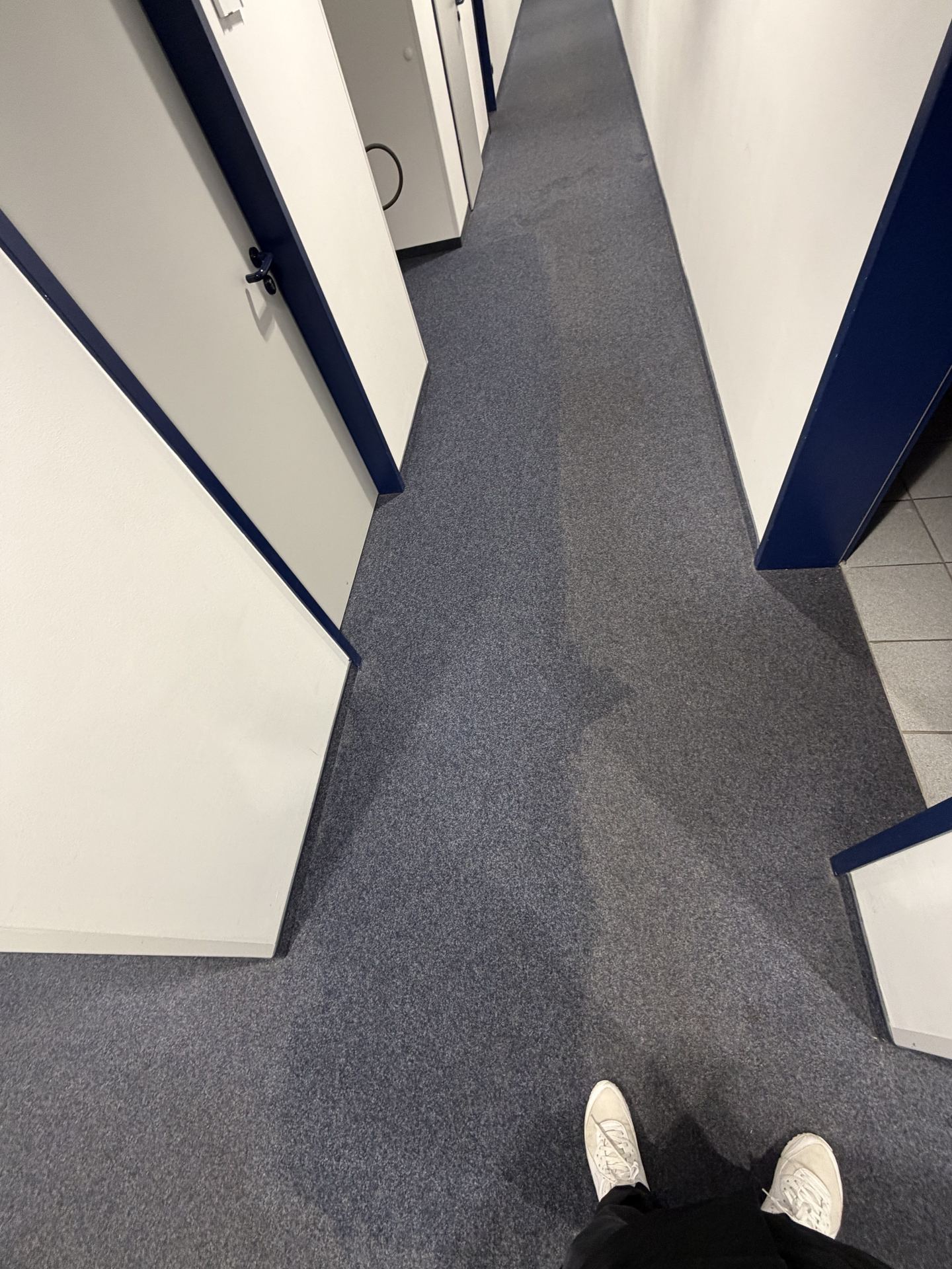 Teppichreinigung